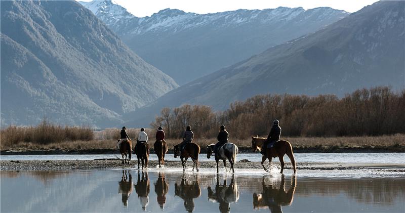High Country Horses